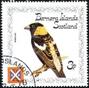 Stamp, Bobolink (Dolichonyx oryzivorus), Cinderellas,  , Animals (Fauna), Birds