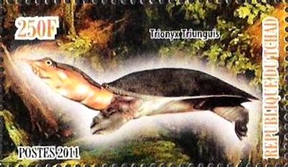 Stamp, Trionyx Triunguis, Cinderellas,  , Animals (Fauna), Turtles