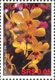 Stamp, Dendrobum hybrid, Suriname,  , Flowers, Orchids, Plants (Flora)