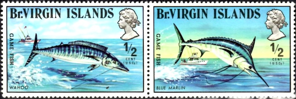 Wahoo-makaire Bleu