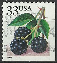 Stamp, Fruit Berries: Blackberries, United States of America,  , Fruits, Plants (Flora)