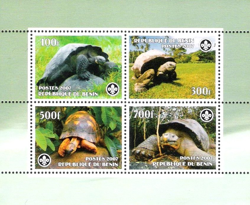 Turtles