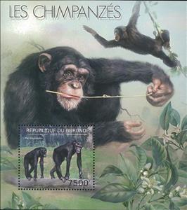 Souvenir Sheet, Pan Troglodytes, Burundi,  , Animals (Fauna), Apes, Mammals