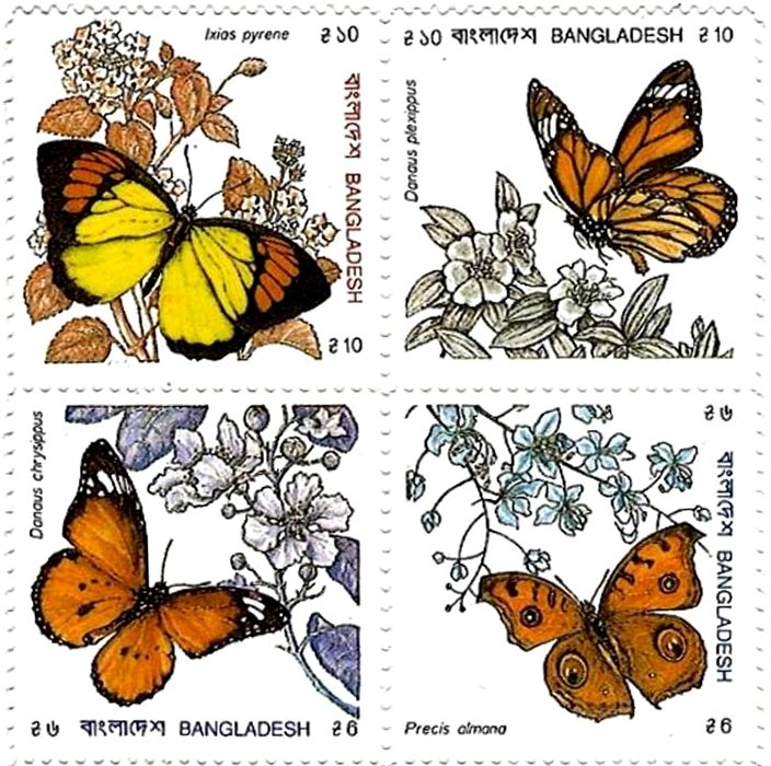 Butterflies