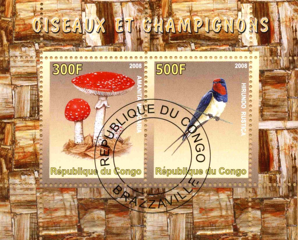 Oiseaux et Champignons