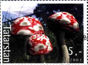 Stamp, Mushrooms, Cinderellas,  , Mushrooms