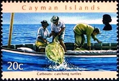 Catching turtles