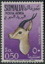 Speke's Gazelle (Gazella spekei)