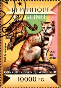Stamp, Colocolo (Lynchailurus colocolo), Andean Mountain Cat (Leopa, Guinea,  , Animals (Fauna), Cats of Prey, Mammals