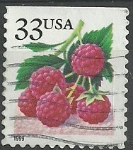 Fruit Berries: Raspberries