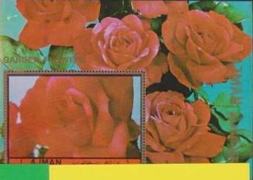 Souvenir Sheet, Gay lady, Ajman,  , Flowers, Roses