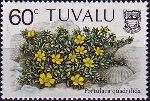 Stamp, Portulaca quadrifida, Tuvalu,  , Flowers, Plants (Flora)