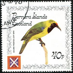 Stamp, Golden Fronted Leafbird (Chloropsis aurifrons), Cinderellas,  , Animals (Fauna), Birds