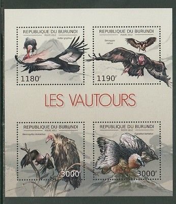 Prey Birds
