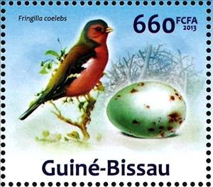 Stamp, Common Chaffinch (Fringilla coelebs), Guinea-Bissau,  , Animals (Fauna), Birds, Eggs
