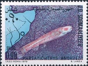Stamp, Phreatichthys andruzzii, Somalia,  , Animals (Fauna), Fishes
