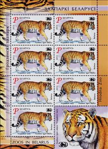Mini Sheet, Siberian Tiger (Panthera tigris altaica), Belarus,  , Animals (Fauna), Cats of Prey, Mammals, Tigers, Zoos