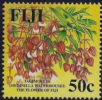 Tagimoucia (Medinilla waterhousei)