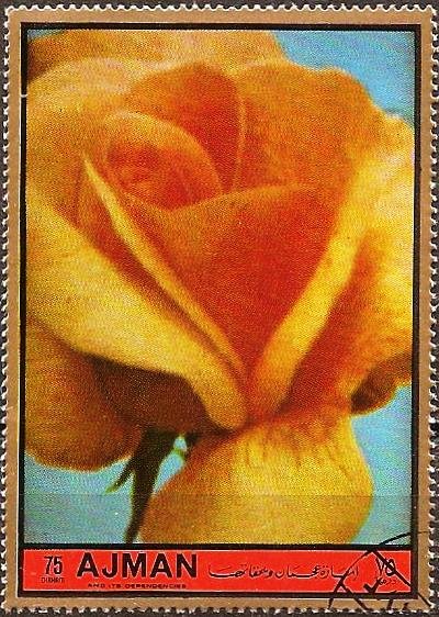 Golden melody
