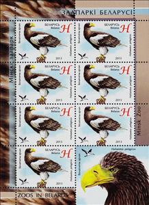 Mini Sheet, Steller’s Sea-eagle (Haliaeetus pelagicus), Belarus,  , Animals (Fauna), Birds, Birds of Prey, Eagles, Zoos