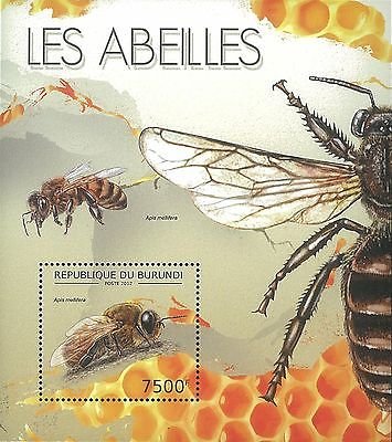 Apis Mellifera