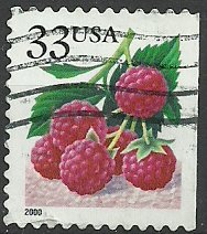Fruit Berries: Raspberries