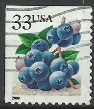 Fruits Berries - Blueberries