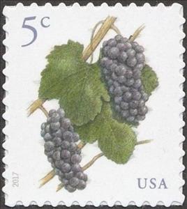 Stamp, Grapes, United States of America,  , Fruits, Plants (Flora)