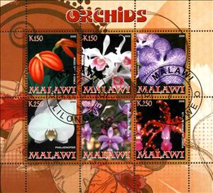 Mini Sheet, Orchids, Cinderellas,  , Orchids