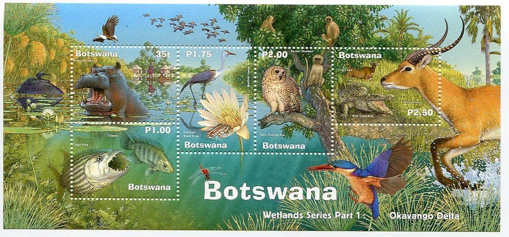 Wetlands Fauna