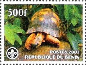 Stamp, Turtle, Cinderellas,  , Animals (Fauna), Turtles
