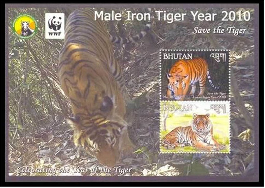 Chinese New Year - Year of the Tiger