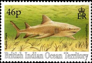 Stamp, Lemon, British Indian Ocean Territory,  , Animals (Fauna), Fishes, Sea Life, Sharks