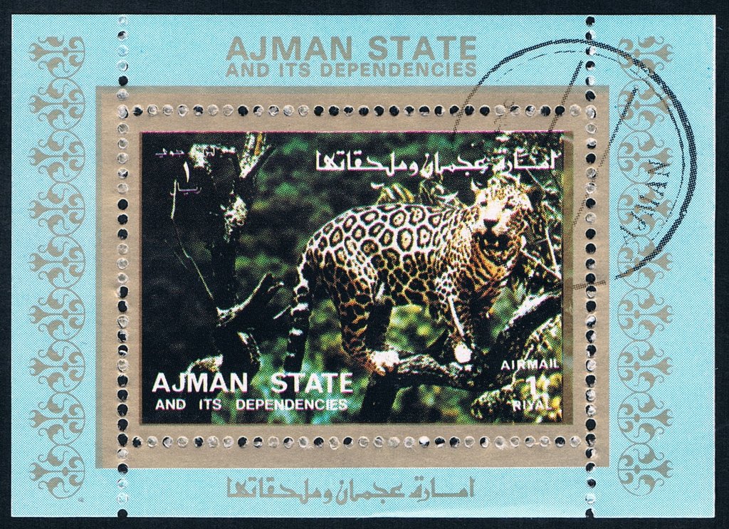 Leopard (Panthera pardus)