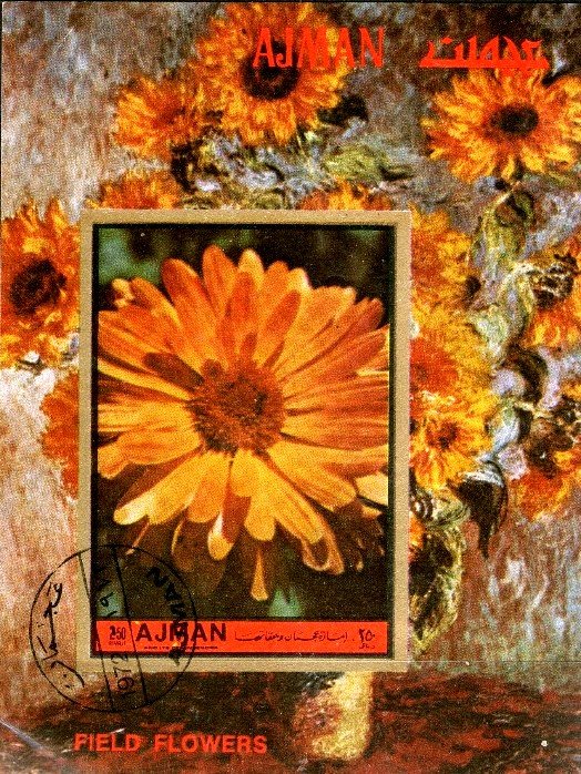 Calendula officinalis