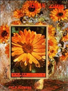 Souvenir Sheet, Calendula officinalis, Ajman,  , Flowers