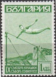 Gymnastics Bars