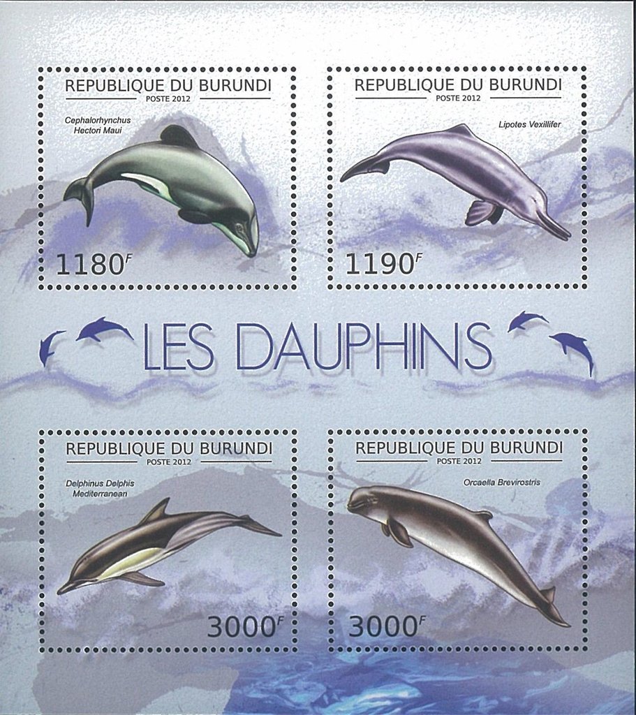 Dolphins