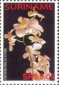 Stamp, Dendrobum hybrid, Suriname,  , Flowers, Orchids, Plants (Flora)