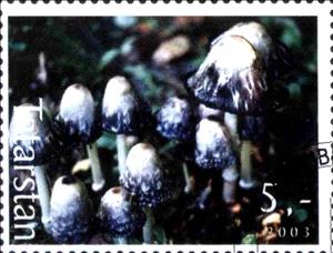 Stamp, Mushrooms, Cinderellas,  , Mushrooms