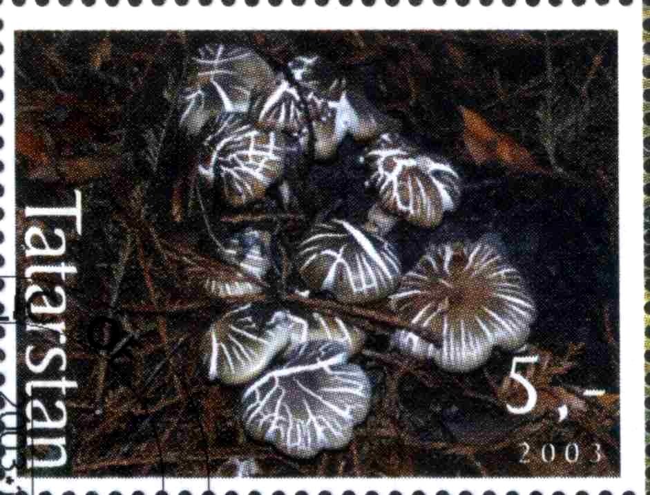 Mushrooms