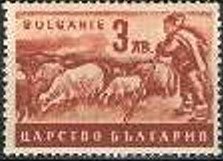 Shepherd with Flock