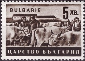 Cattle Breeding