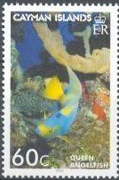 Queen Angelfish (Holacanthus ciliaris)
