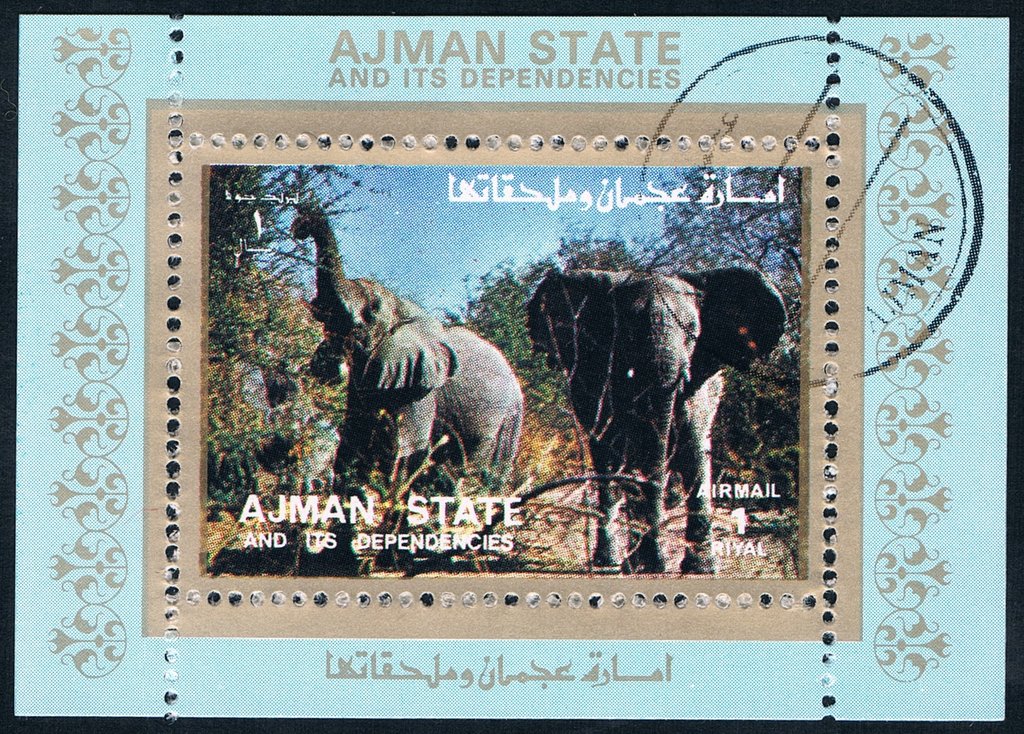 African Elephant (Loxodonta africana)