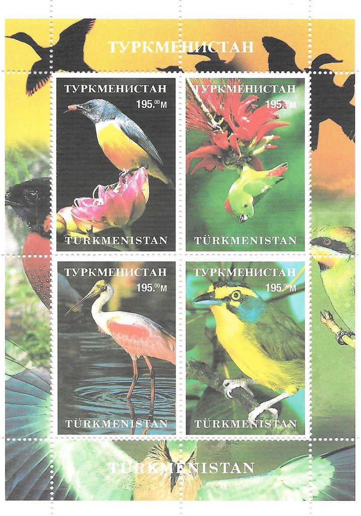 Birds of