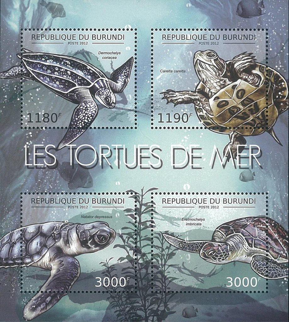 Sea Turtles