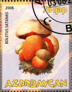 Stamp, Boletus Satanas, Cinderellas,  , Mushrooms