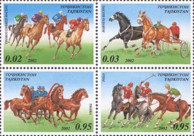 Sport - Horses