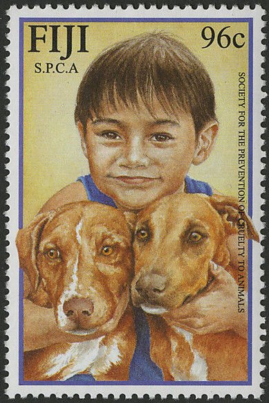 Boy and two dogs